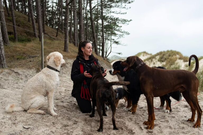 Amber Duindam roedel kynocompany