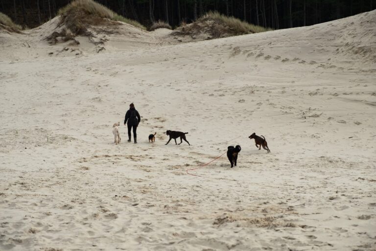 Uit laat service Noord holland alkmaar heerhugowaard